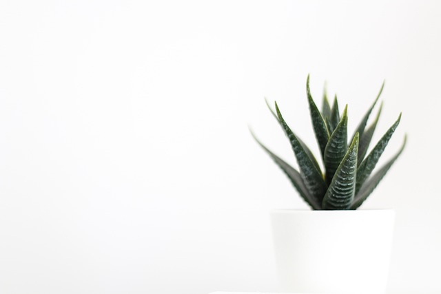 ceramic pen holder white minimalist modern desk accessory clean simple elegant design